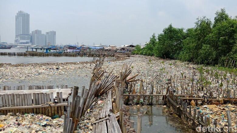 Potret Lautan Sampah di Teluk Jakarta