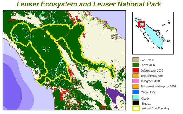 Jika Amazon Paru-Paru Dunia, Leuser itu Jantungnya