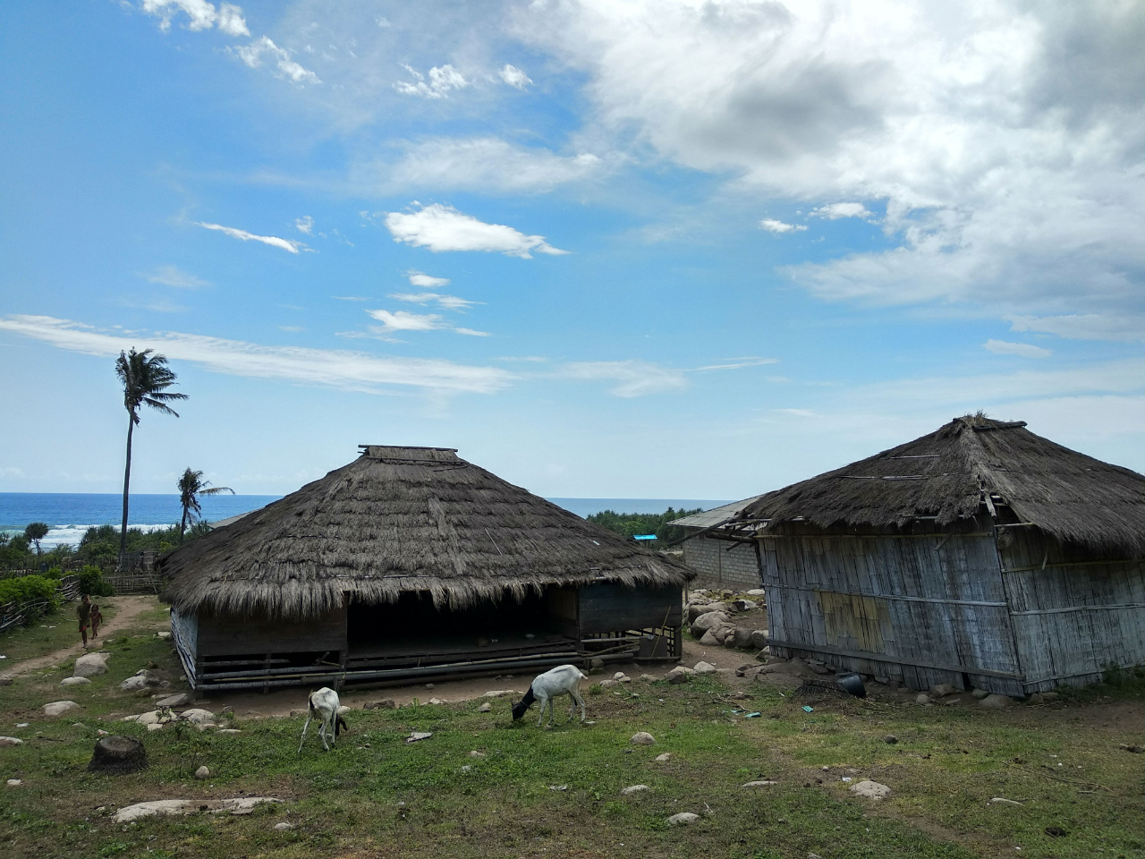 30 Hari Di Tanah Marapu