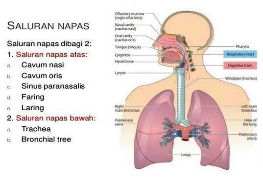 PENTING ! SUNNAH TIDUR MIRING SEBELUM SHOLAT SUBUH DAN MANFA'AT TIDUR MIRING +++ DO'A