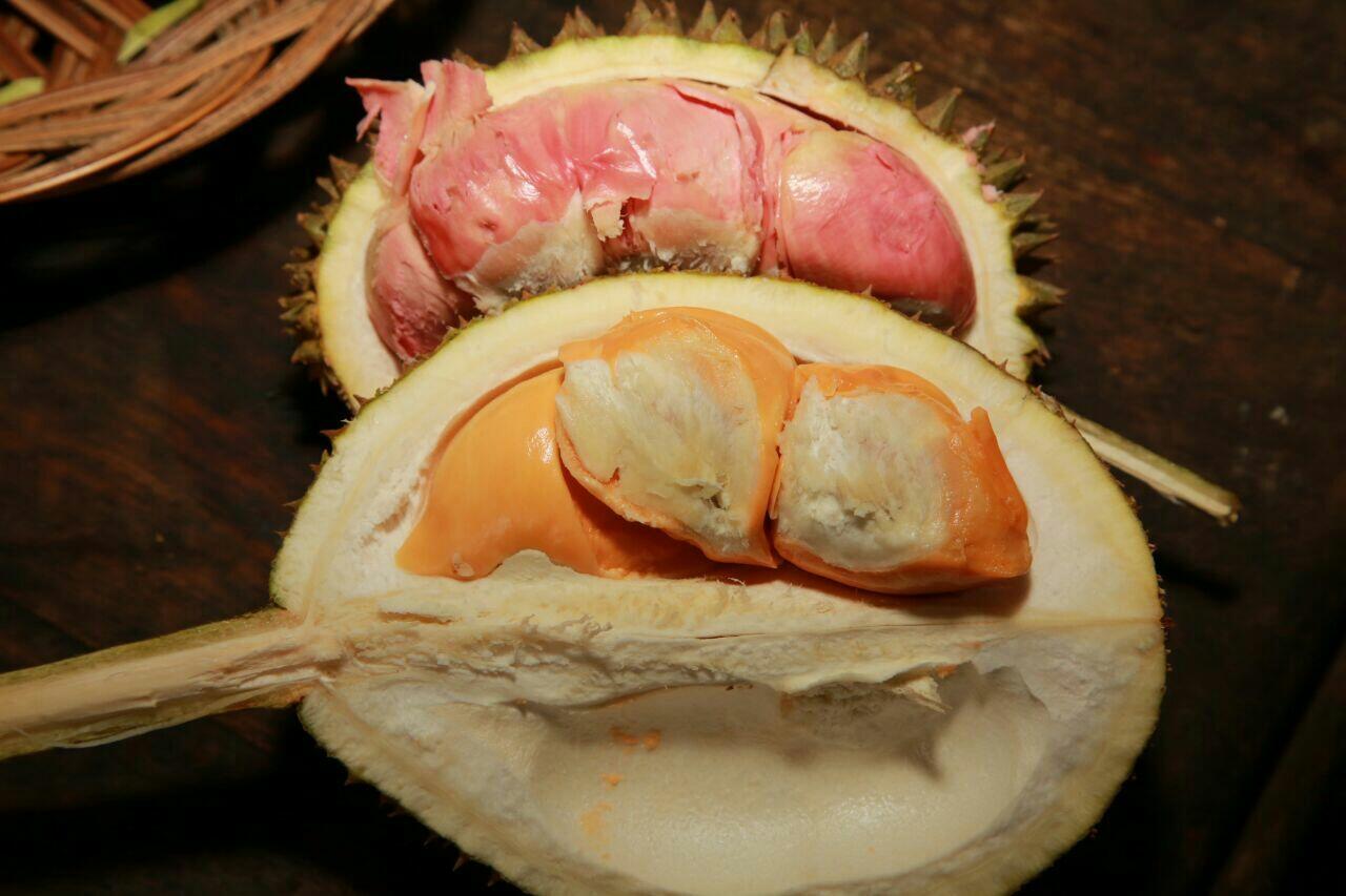 Mengunjungi Kampung Durian Merah Di Songgon KASKUS