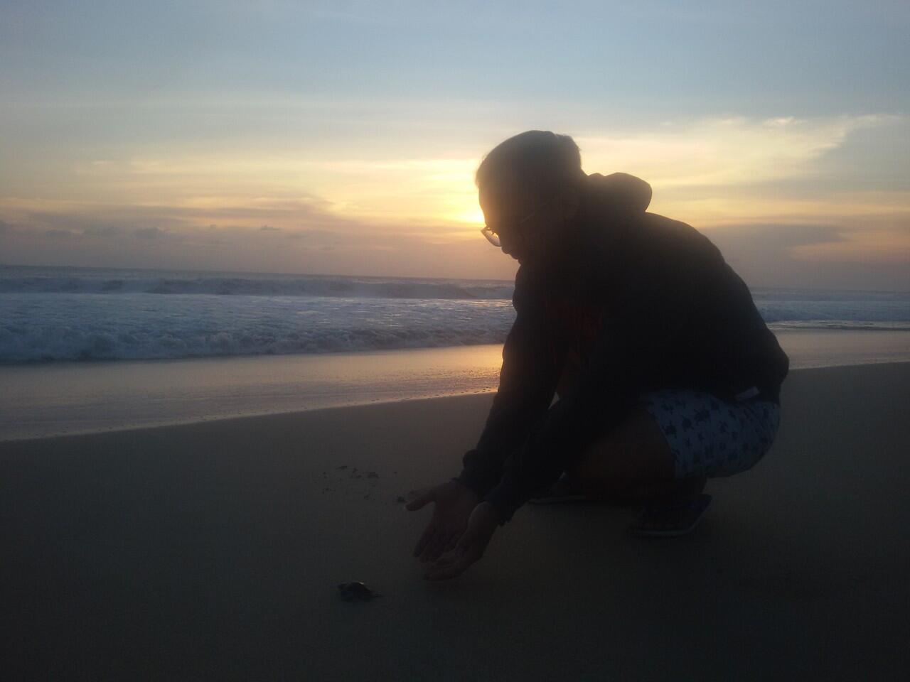 Sudahkah GanSis ke Pantai di Ujung Genteng?