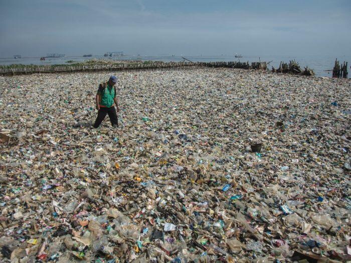 Lautan sampah di Muara Angke mulai dibersihkan