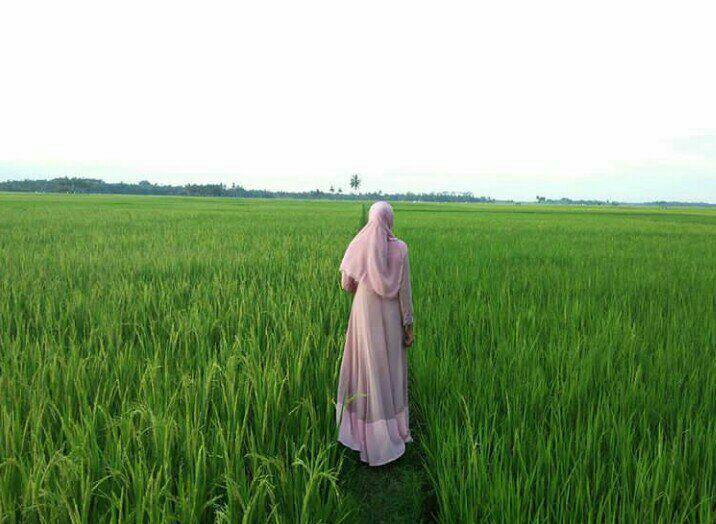 Bidadari Ku Yang Terluka Dalam Lembah Penuh Duri