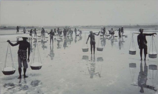 Garam di Masa Kolonial, Monopoli Hingga Kuasa Khusus