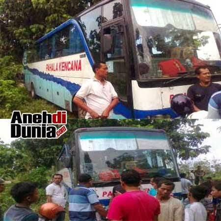 Kisah Misteri Truk Tronton Bus Pahala Kencana yg Dimasukan Kedalam Hutan Jati Blora