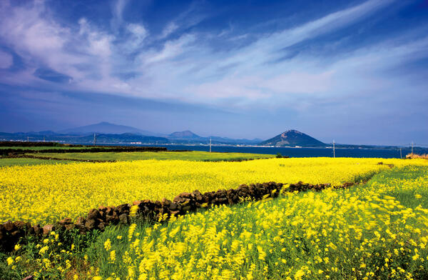 Inilah 9 Lokasi Paling Cocok untuk Trump-Kim Jong Un Bertemu