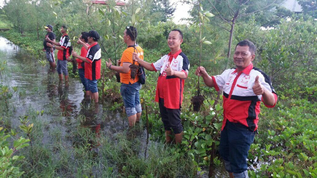 AKSI PENANAMAN MAGROVE KOMUNITAS TOYOTA CALYA INDONESIA”