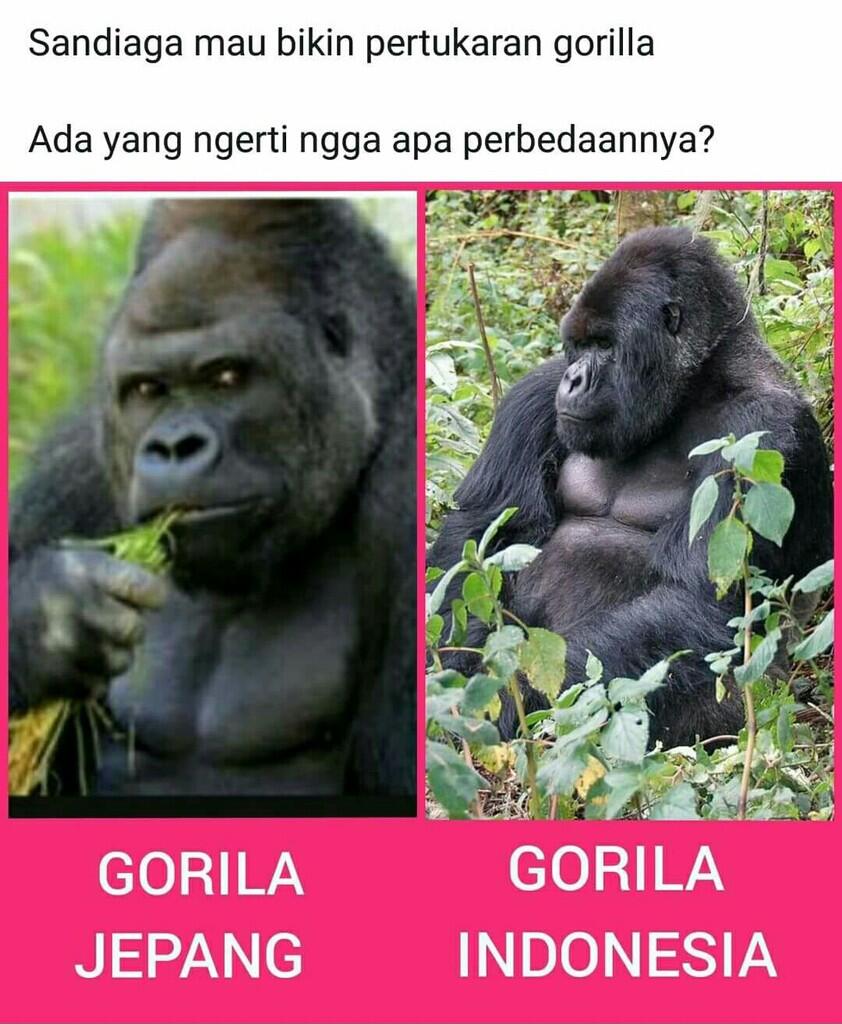 Sandi Akan Lakukan Pertukaran Gorila dengan Tokyo