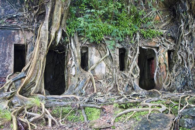 Pulau Ross, Seperti Kota Hantu Yang Indah Di Sisi Samudra Hindia.