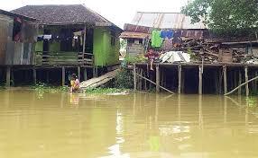 Penyebab Dan Dampak Kekeruhan