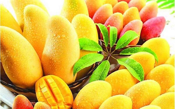 4 Manfaat terpendam yang jarang diketahui, dikala kita lebih memilih buah lokal :-))