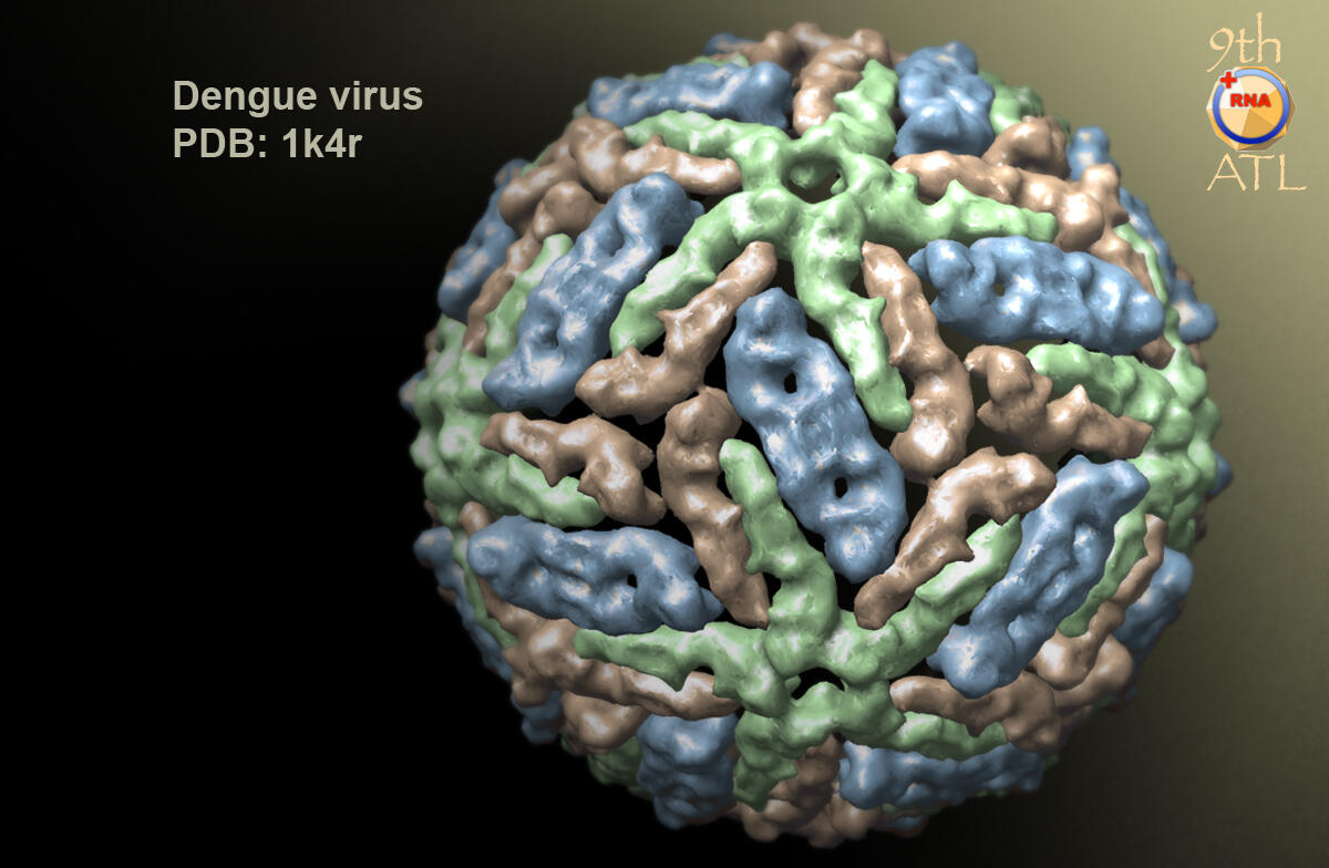 HATI-HATI !!!... , virus mematikan ini bisa menyebabkan kepunahan manusia