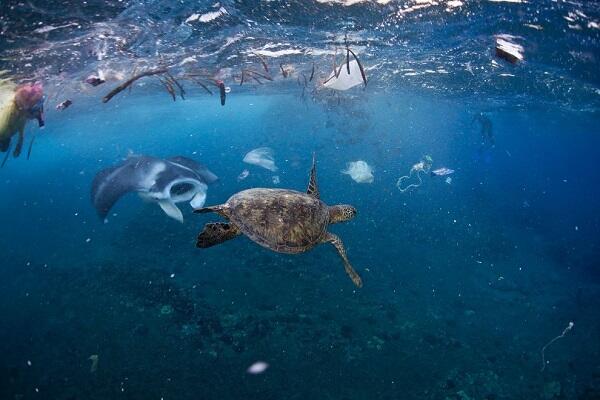 Bukannya indah, 5 potret bawah laut Indonesia ini justru penuh sampah gan...!!