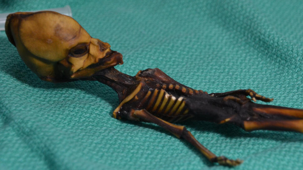 Ata, Mumi 16 cm Ternyata Bukan Alien. Tapi Kenyataannya Justru Lebih Ajaib Dari Itu.