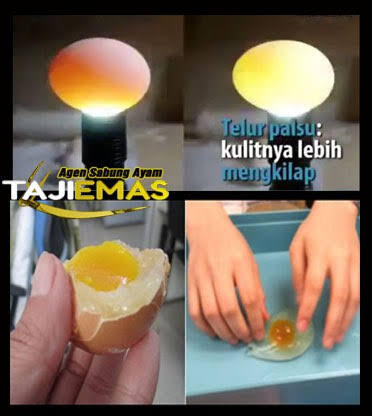 Jangan Percaya !! Kalau Ada Yang Bilang Telur Palsu Di Jual Di Pasar
