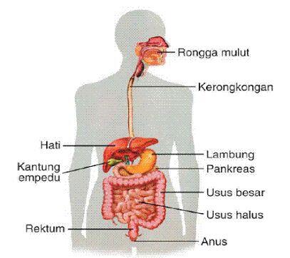 Terbiasa minum air putih hangat setiap hari, ini dia 6 manfaat nya cekidott