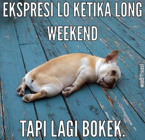 TIPE ORANG SAAT WEEKEND