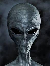 mengejutkan ! gadis cantik ini menjadi seperti alien setelah oplari plastik