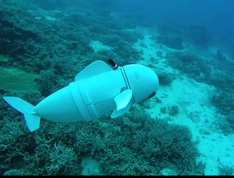 Para Ilmuwan di AS Menciptakan Robot Ikan