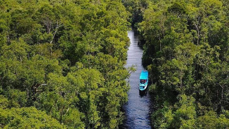 Menelusuri Sungai Sekonyer Dengan Klotok