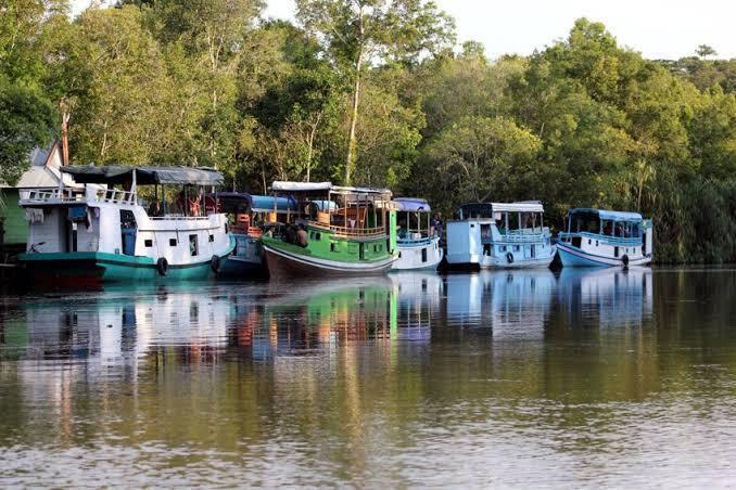 Menelusuri Sungai Sekonyer Dengan Klotok