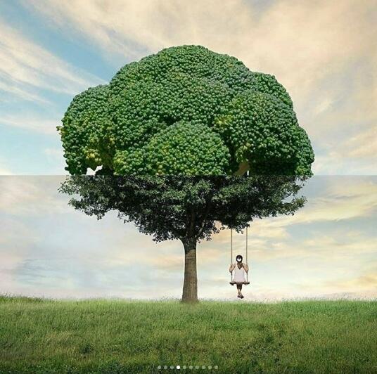 Foto Gabungan Berikut ini Akan membuatmu Gagal Paham, dan Berpikir "Oh iya ya"