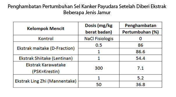 Mengenal Lebih Dekat Jamur Maitake : Jamur Lezat Pembunuh Sel Kanker