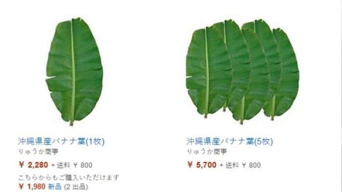 Mahalnya Daun Pisan di Jepang, 1 Lembar Dihargai Rp 300 Ribu, Tertarik Jualan?