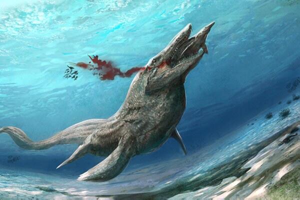 Mengenal Tylosaurus, Monster Bawah Laut yang Mengerikan