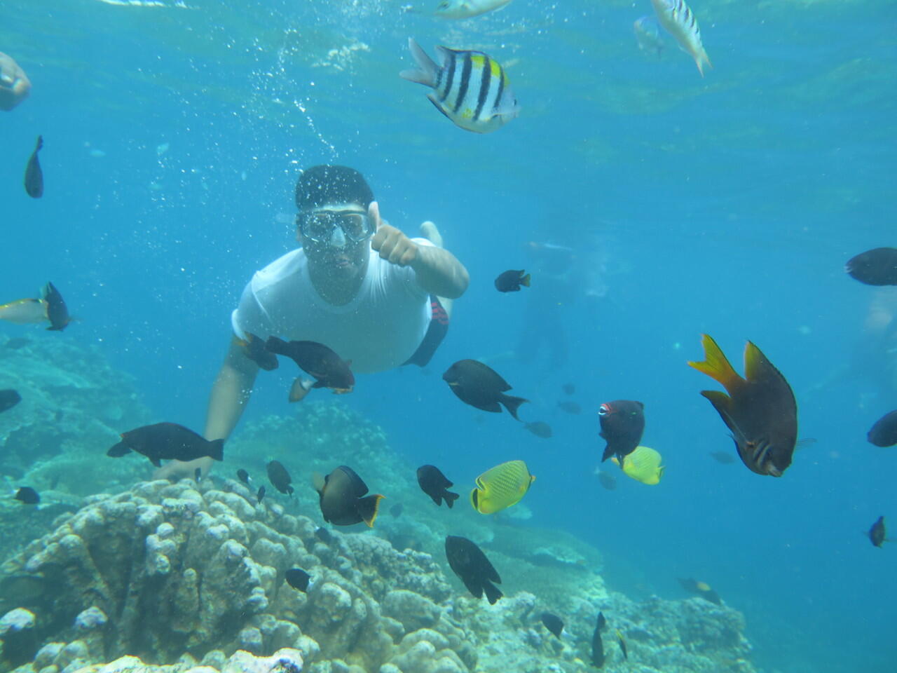 Gorontalo Luar Biasa ! (Pantai Olele)