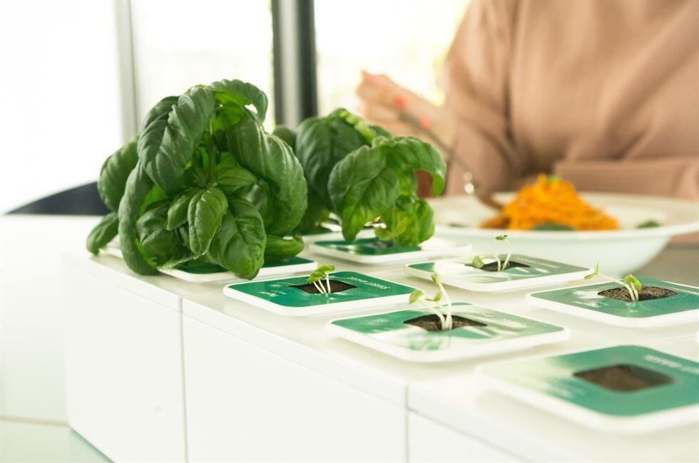 Canggih, Beginilah Cara Berkebun di Masa Depan