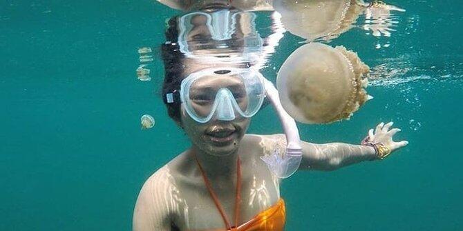 Ini 6 danau ubur-ubur tanpa sengat tercantik di Indonesia, tak cuma Kakaban