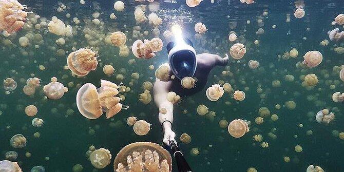 Ini 6 danau ubur-ubur tanpa sengat tercantik di Indonesia, tak cuma Kakaban