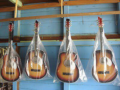 Mengenal Gitar Sipaholon dan Karal Hutagalung