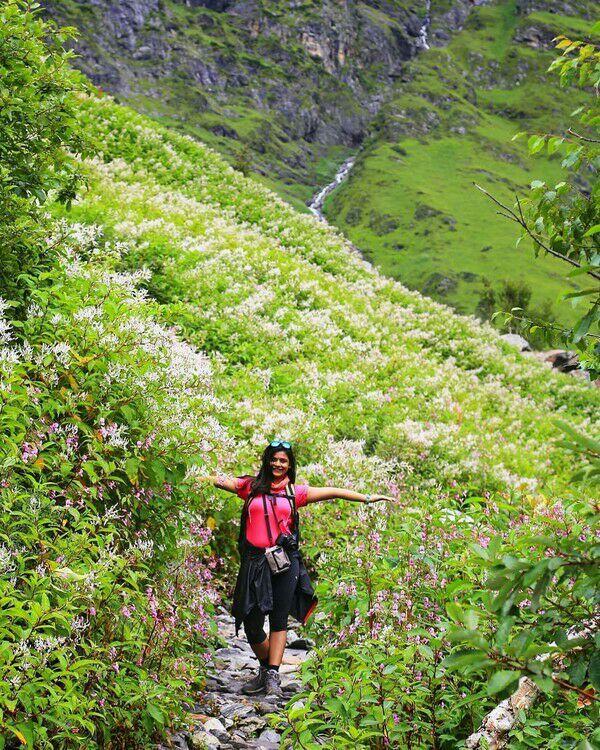 Valley of Flowers, Lembah Bunga Seindah Surga dari India