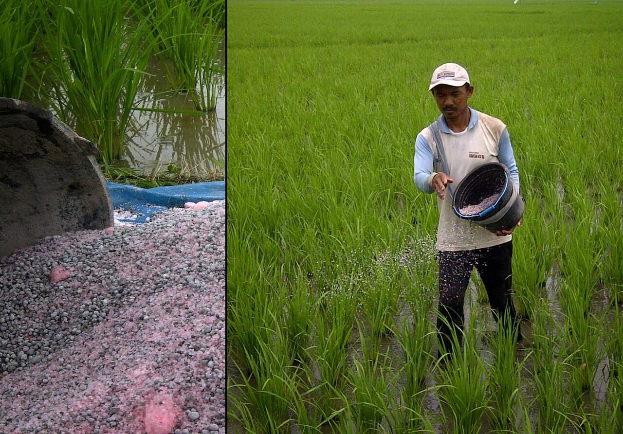 Seberapa Parahkah Kualitas Air Sungai di Indonesia?