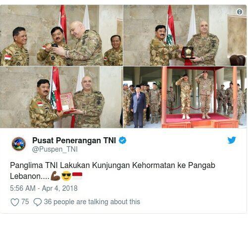 Panglima TNI Jadi Korban Hoax 'Bendera Terbalik' Hingga Dihina