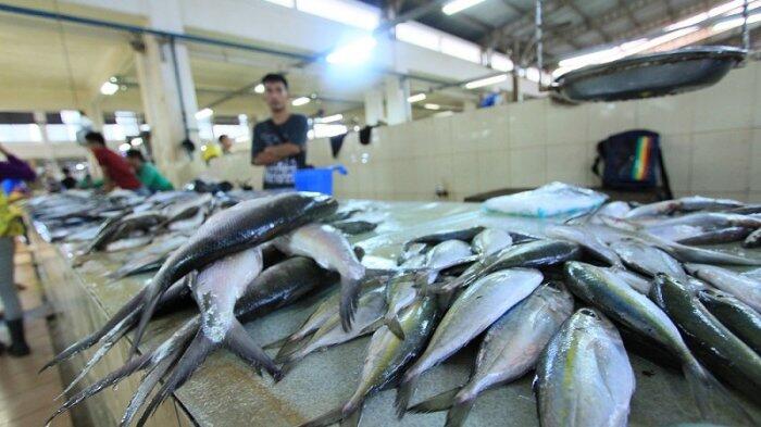 Daripada Ikan Kaleng, Lebih Baik Konsumsi Ikan Tangkapan Nelayan Lokal