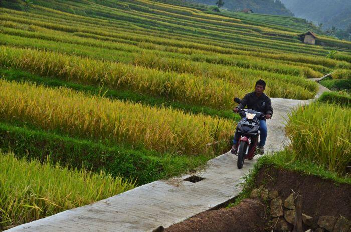 Rp18 triliun dialokasikan buat upah padat karya