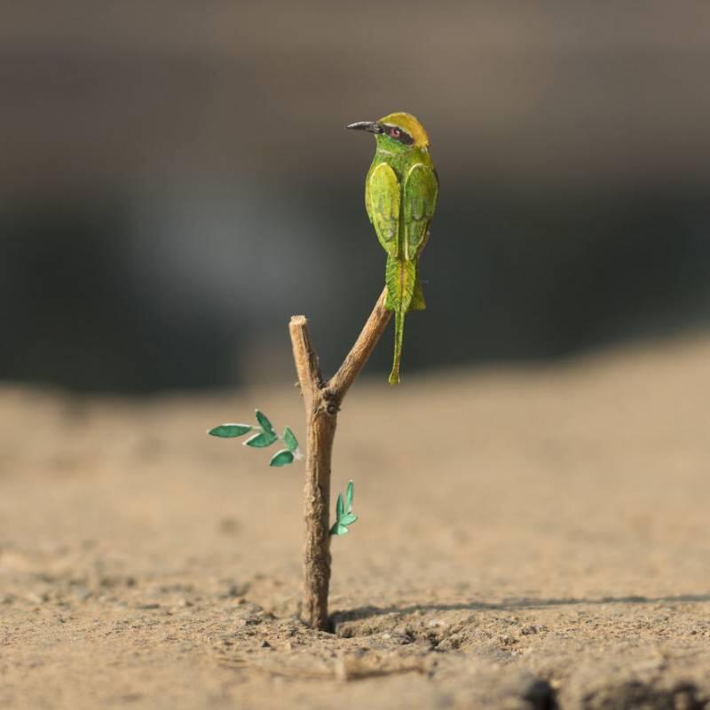 Serupa Tapi Beda 11 Miniatur Burung  Kertas Ini Bikin 