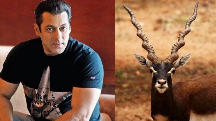 Salman Khan Bebas dari Penjara setelah Bayar Jaminan, Ini Kasus yang Menjeratnya