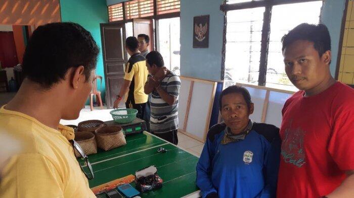 Belasan Kilo Sisik Trenggiling di Tebas Diamankan