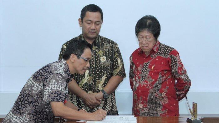 Unik, Pemkot Semarang Kembangkan Hotel Berkonsep Rumah Pohon