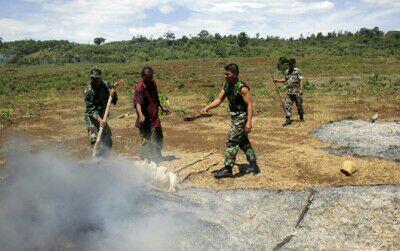 Mudahnya Berladang Ganja di Bireuen