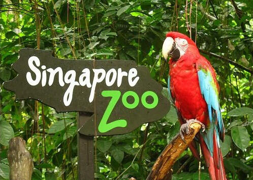 TEMPAT WISATA DI SINGAPURA YANG PALING MENARIK