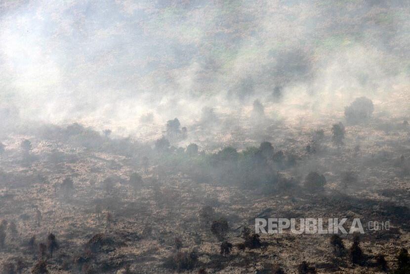 Miris! 260 Hektar Lahan Gambut ini Terbakar!