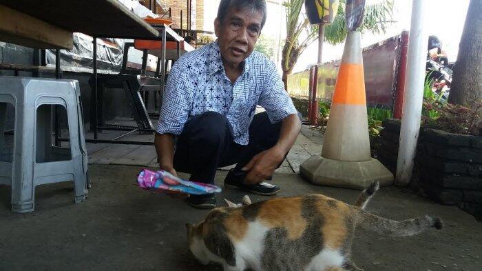 Kisah Pensiunan Dosen Yang Gunakan Hari-harinya memberi Makan Kucing Liar