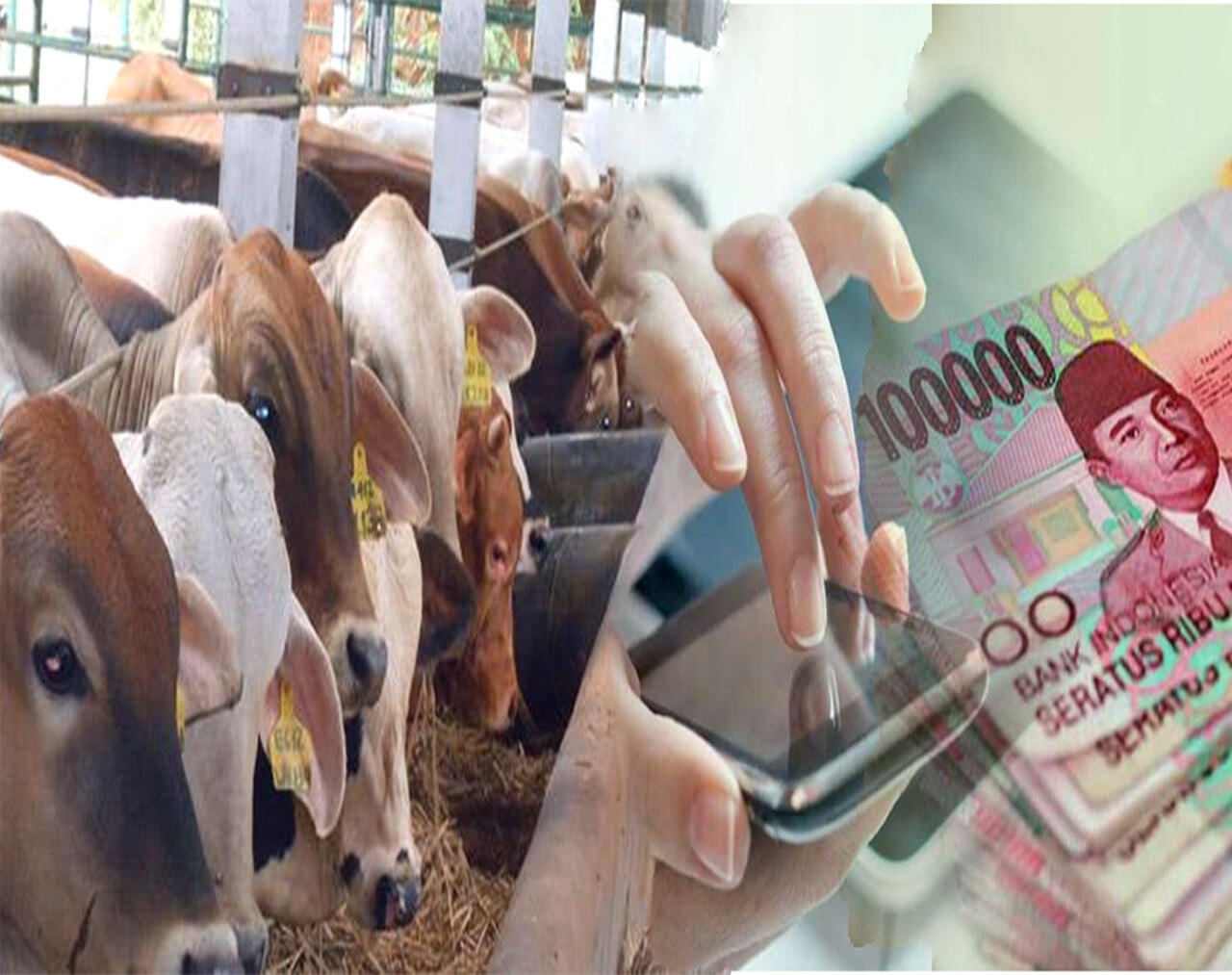 Upaya Kementan Jamin Pasokan dan Harga Daging Sapi Jelang Ramadhan
