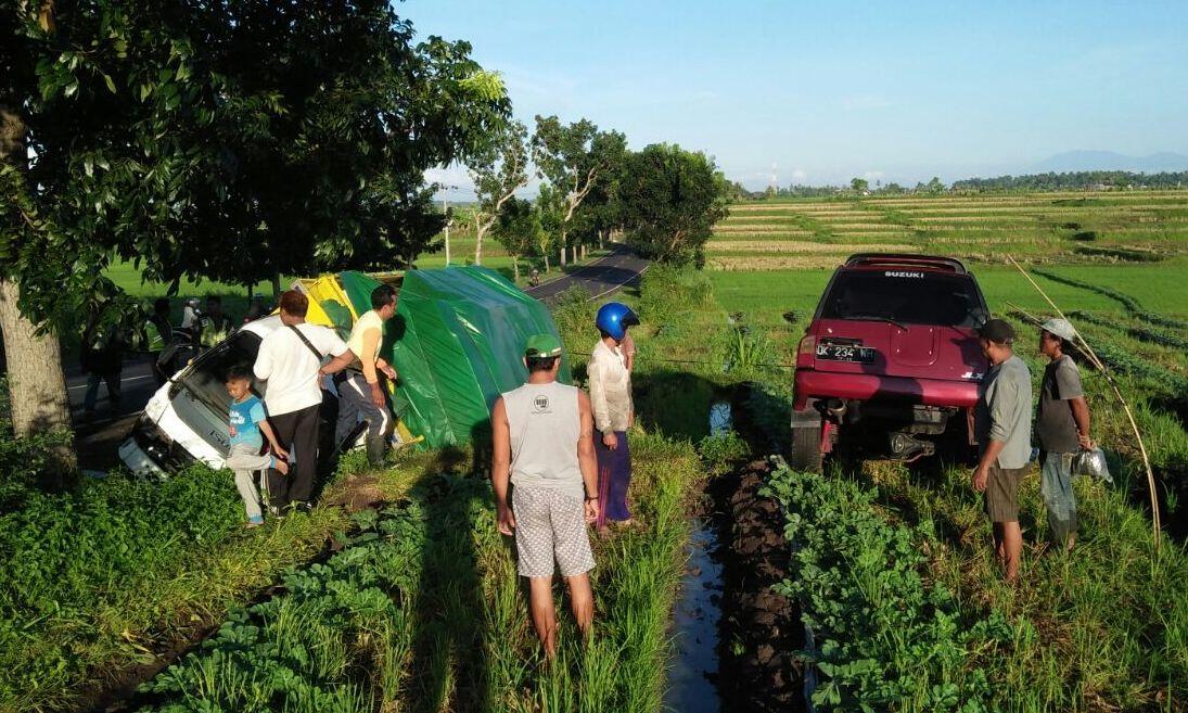 Minibus Terperosok ke Sawah Dekat Jalur Denpasar-Gilimanuk